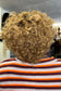 Pixie curl 8"